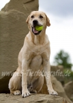 17 Paul im Portrait